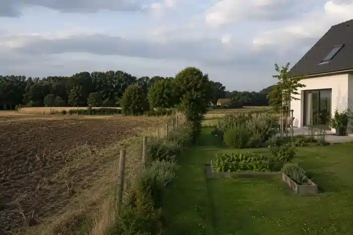 Cadmium aus Düngern und Gartenböden verstehen