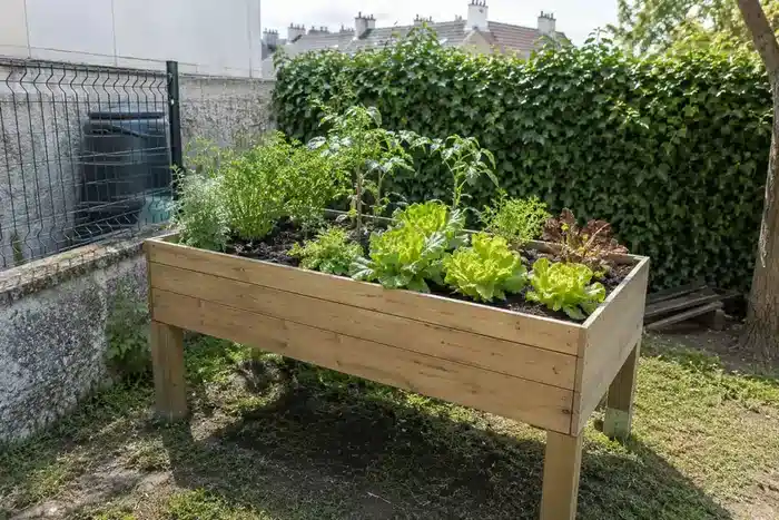 Bac Gemüsegarten surélevé en bois in un Garten urbain