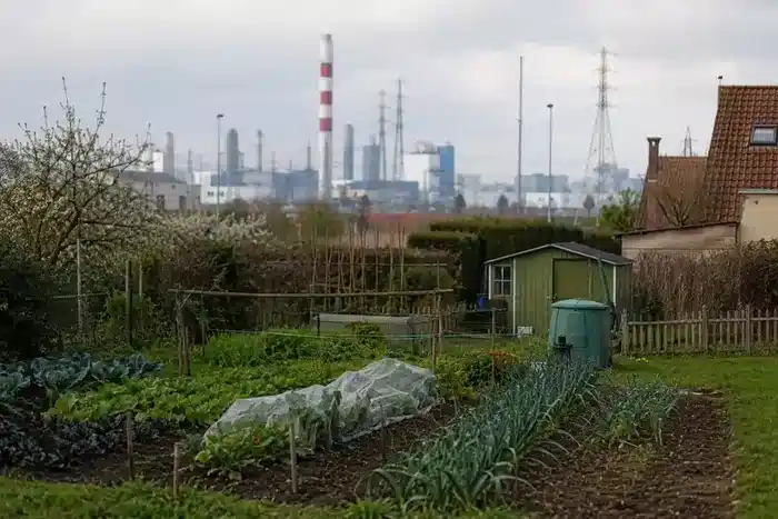 TerraBiome Garden
