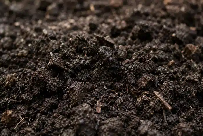 Terre de jardin sombre légèrement humide en gros plan