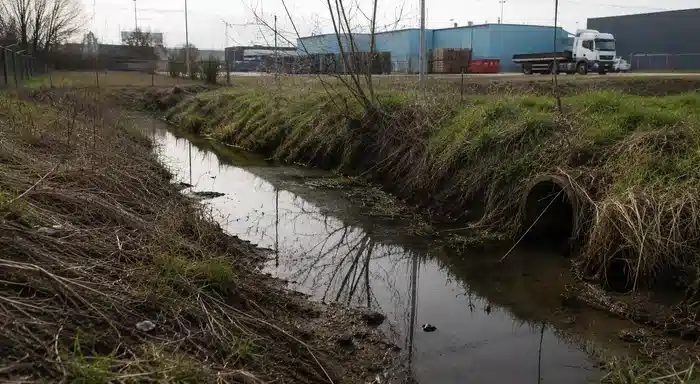 Fossé humide proche d’une zone industrielle