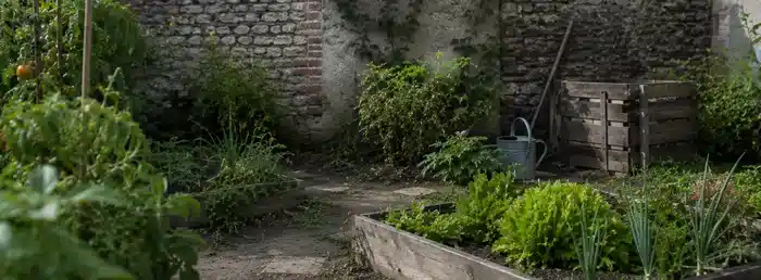 Cultures potagères en pleine terre