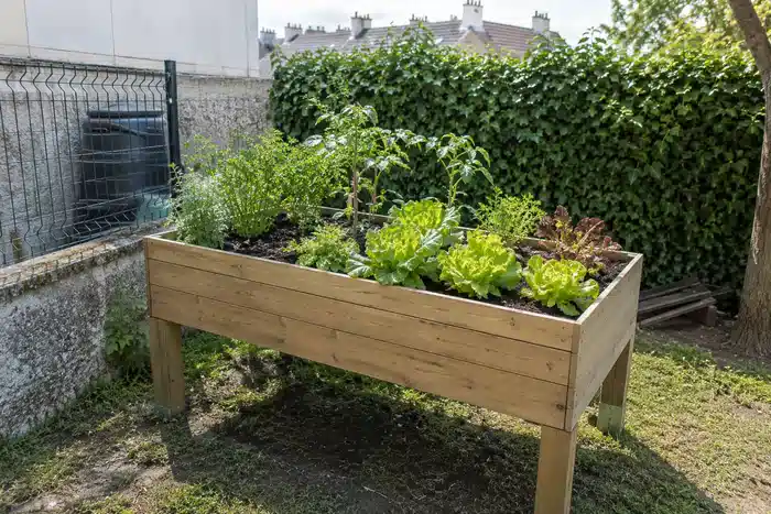 Bac potager surélevé en bois dans un jardin urbain
