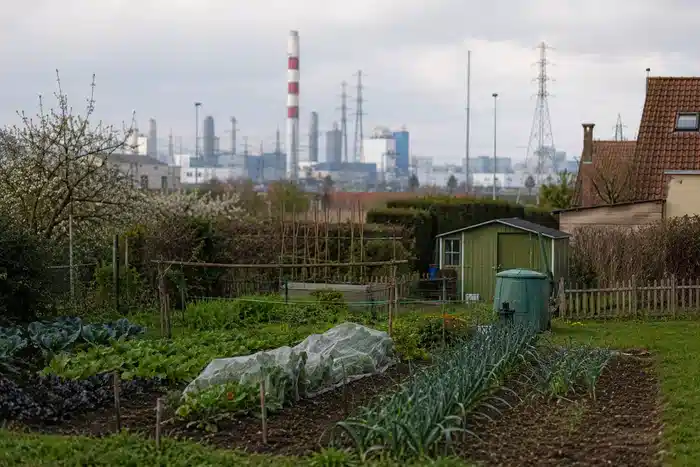 Jardin familial périurbain avec zone industrielle floue au fond