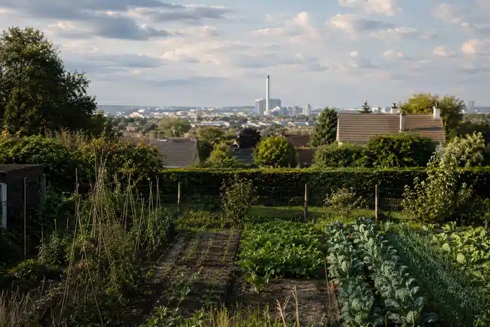 Potager proche d’un incinérateur