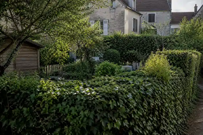 Haie dense autour d'un jardin urbain calme