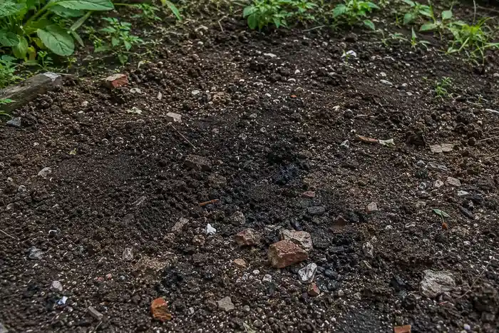 Oude woning, oude tuin: moet men de bodem testen?