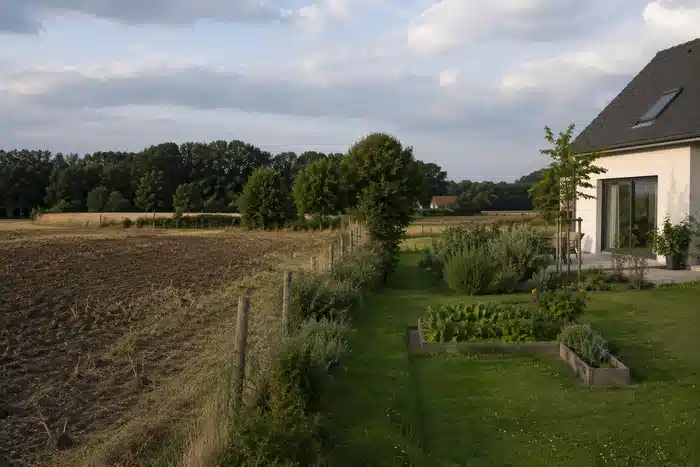 Cadmium uit meststoffen en tuinbodems begrijpen