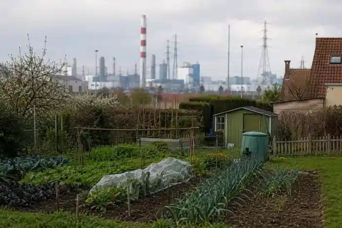 TerraBiome Garden