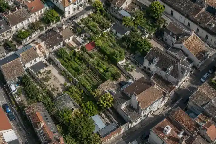 Opname van verontreinigende stoffen door groenten inschatten