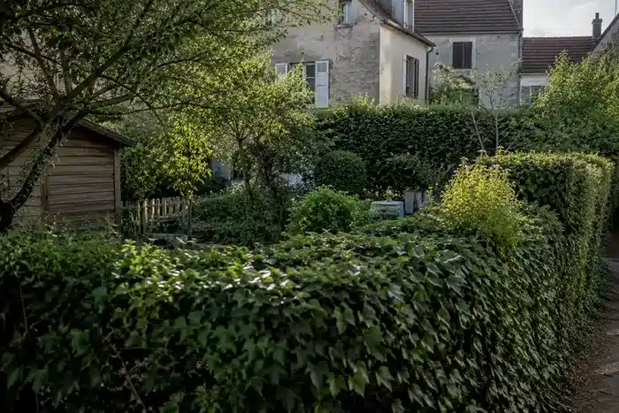 Haie dense rond d'un tuin urbain calme